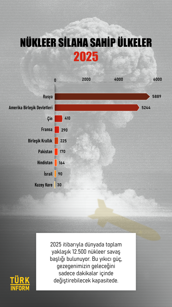 Nükleer Infografik Dikey