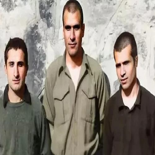 3 Fidan Isimleri