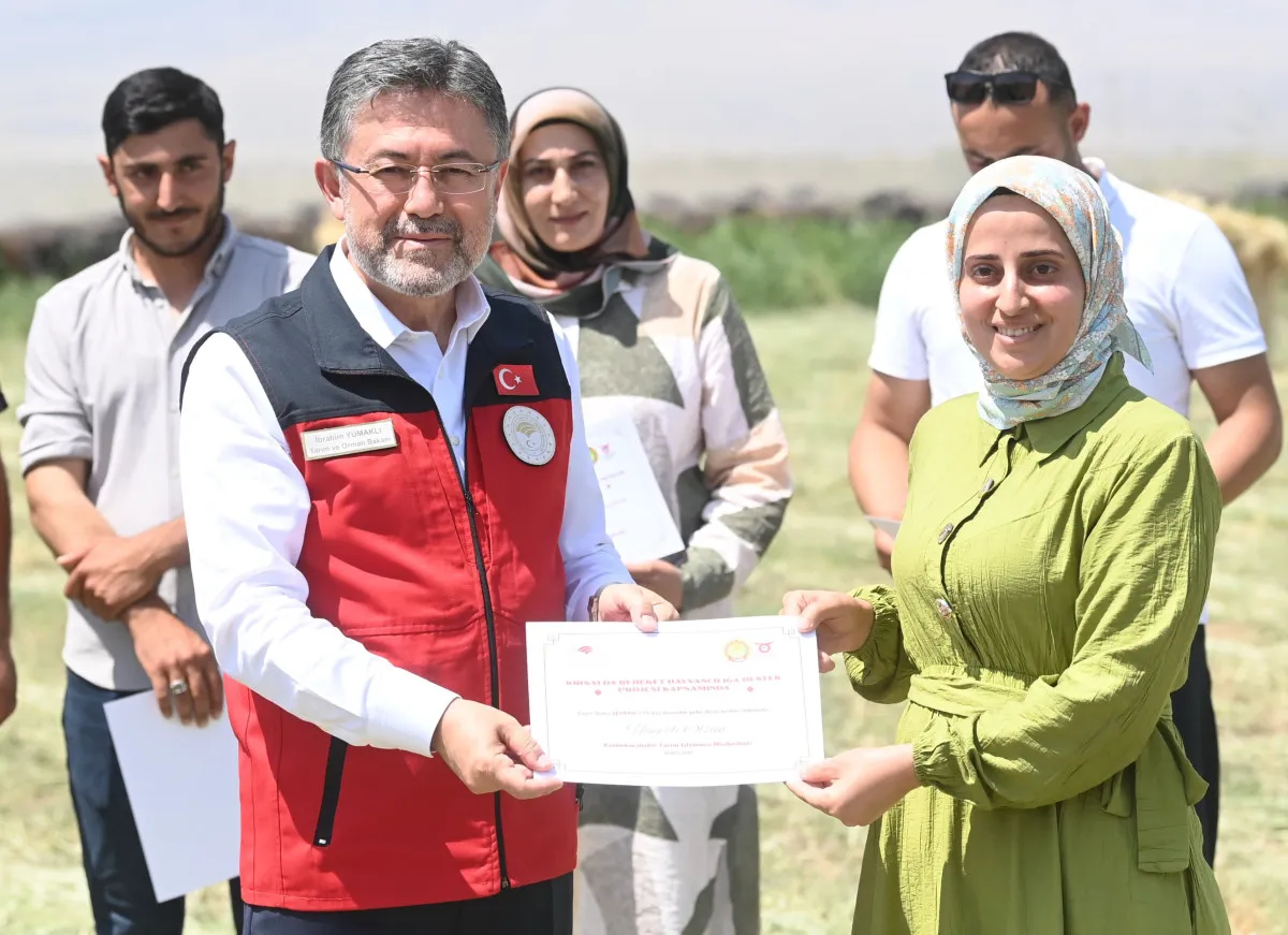 687A2092D748E207 W1200Xh871