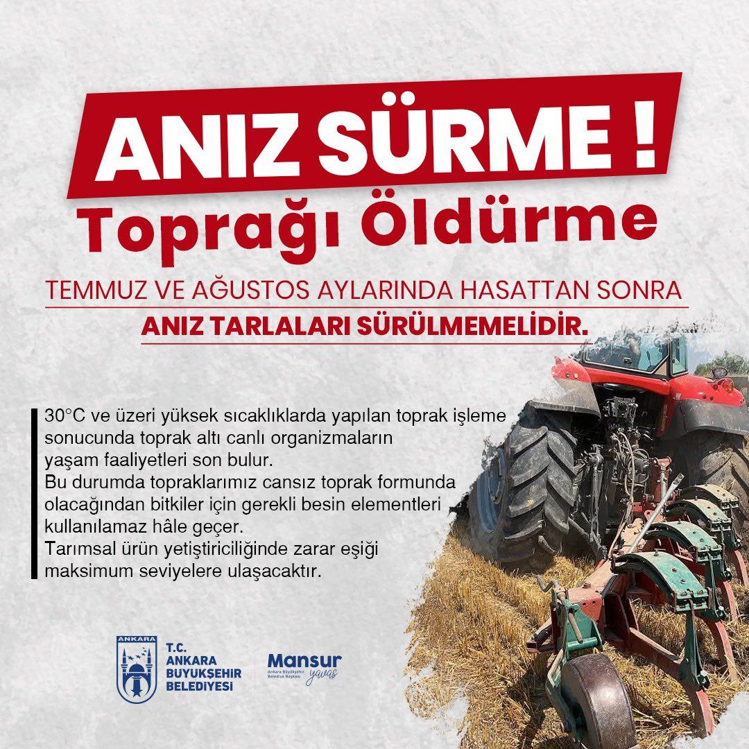 Anız Abb