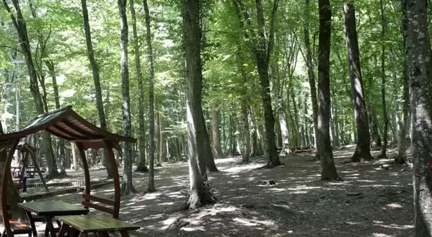 Ankara Piknik Yasağı