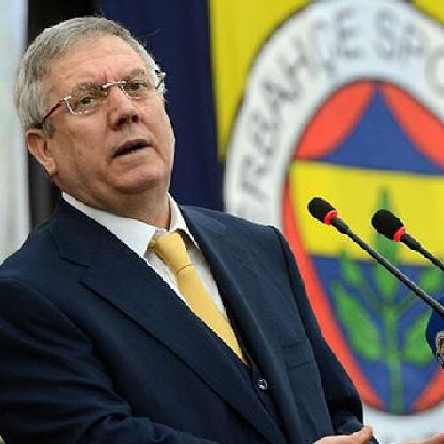 Aziz Yıldırım Mesleği