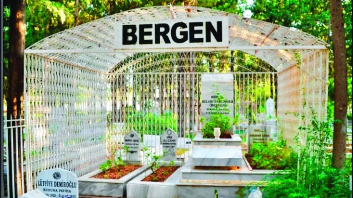 Bergen'in Mezarı