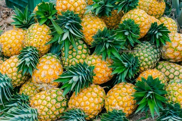 Bromelain Ne Işe Yarar-1
