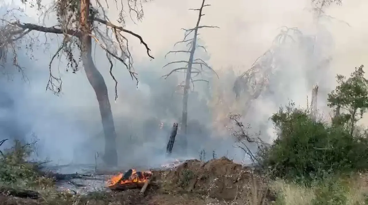 Bursadaki Orman Yangini Fedaileri Hali Sahada Dinlendi 3237149 202507270957 1