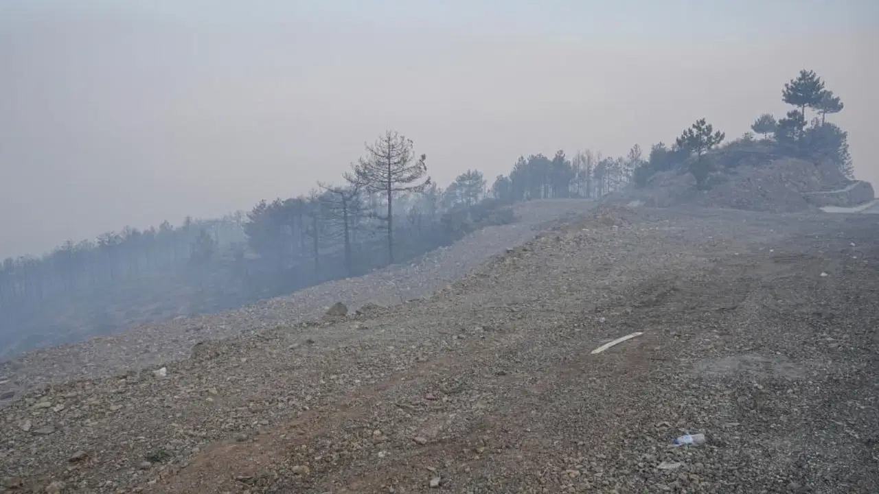 Bursa’daki Yangında Son Durum 1 Kişi Gözaltına Alındı1