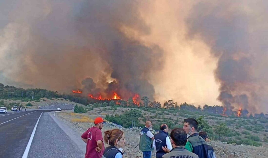 Bursa'nın Orhaneli Ile Harmancık Ilçelerindeki Orman Yangını