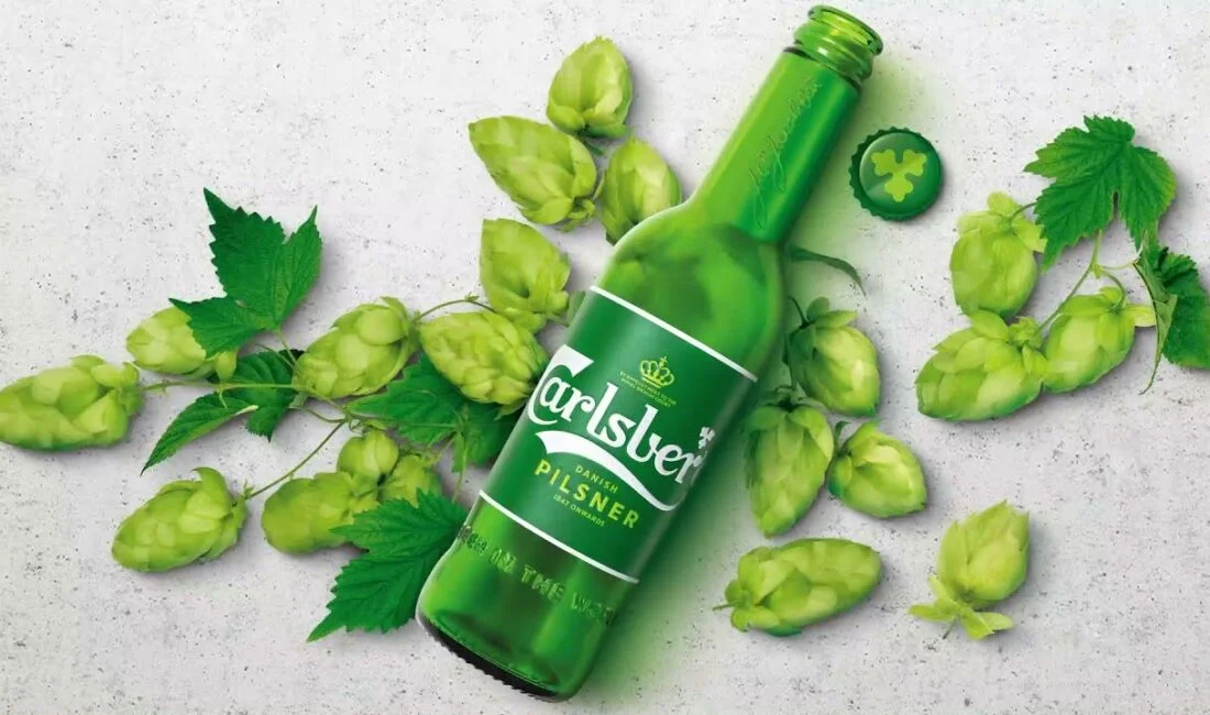 Carlsberg Bira Ne Birası