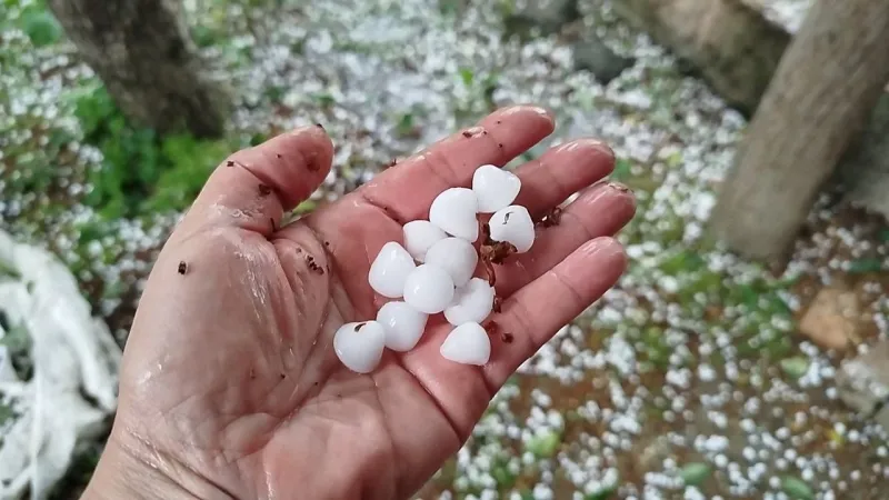 Dolu Burdur