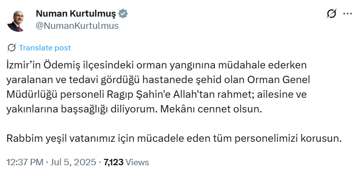 Ekran Görüntüsü 2025 07 05 130548
