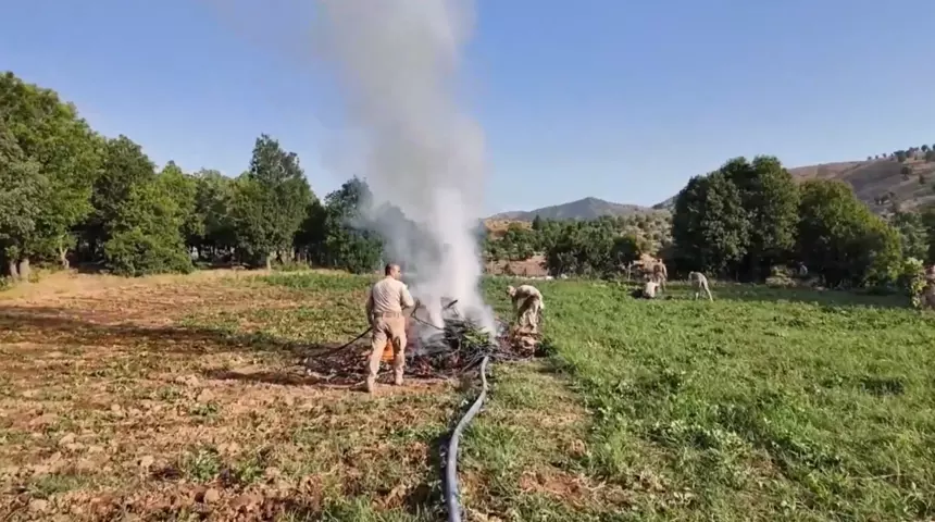 İha Destekli Operasyonla 4,4 Milyon Kök Kenevir Ele Geçirildi1
