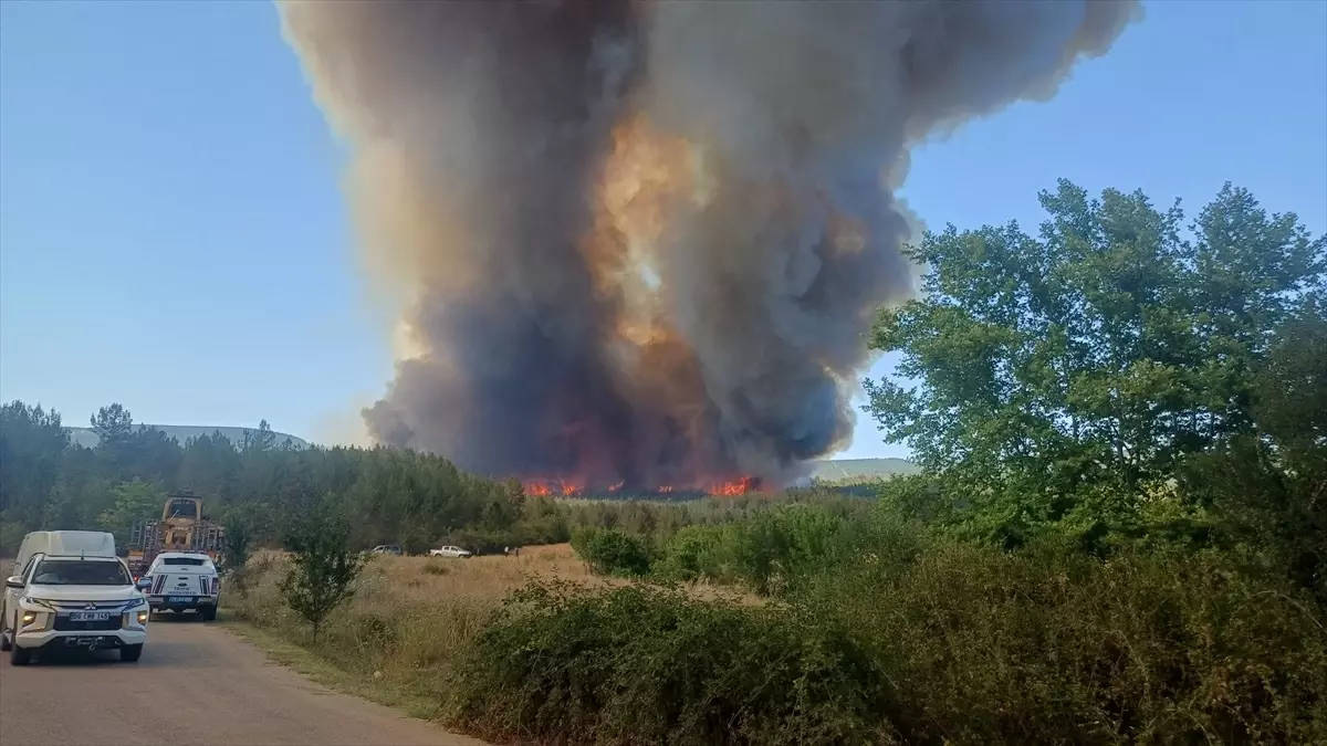 Karabük Valisi Yavuz’dan Orman Yangınlarıyla Ilgili Açıklama2