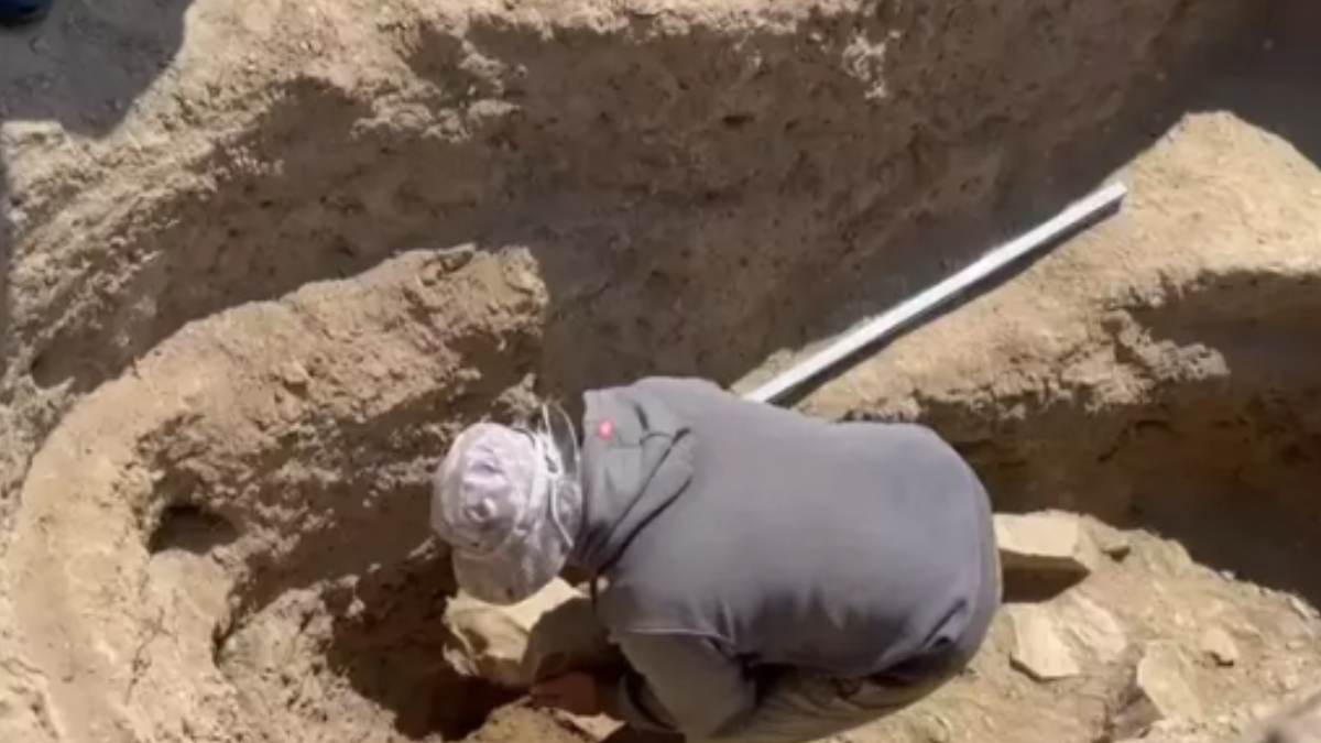 Kayip Sehirpng Id5 F H C J P0Eo4Wv B Ujs Ug