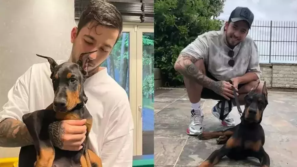 Mahmut Orhan Köpek 1