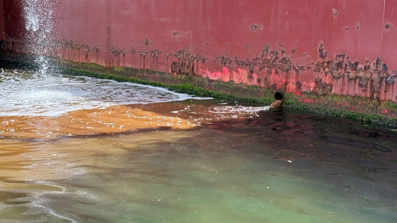 Marmara Denizine Atik Birakan Tersaneye Rekor Ceza Kesildi2