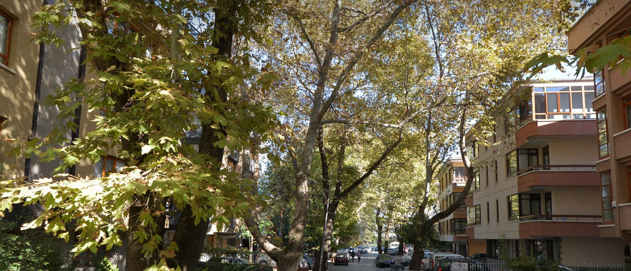 Mebusevleri Ankara Yeşil