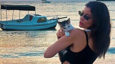 Mujde Uzman Sokak Kedilerini Besledi Cimere Sikayet Edildi