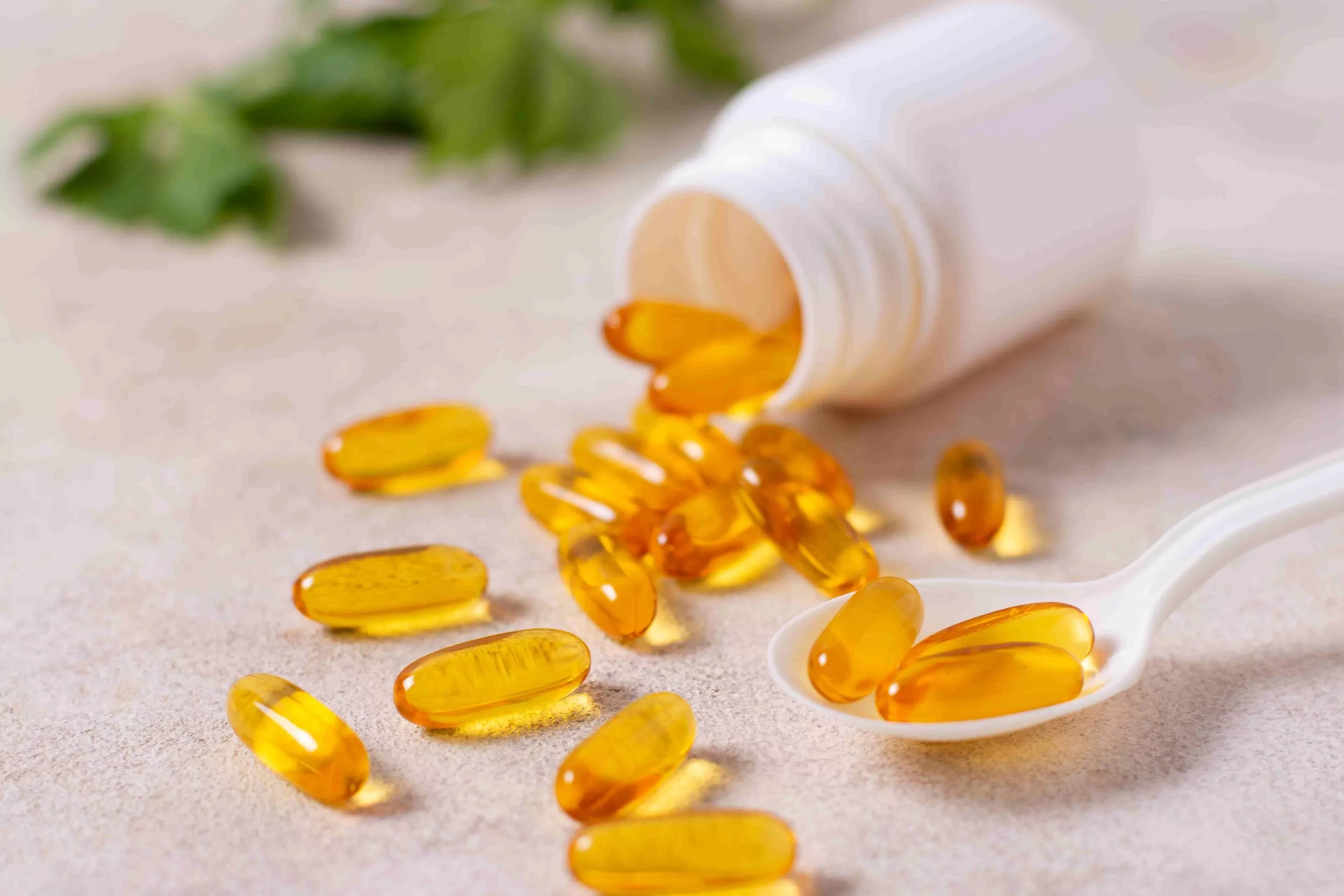 Omega 3 Yağ Zararı 2