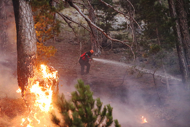 Orman Yangınlarına Müdahaleler Devam Ediyor3