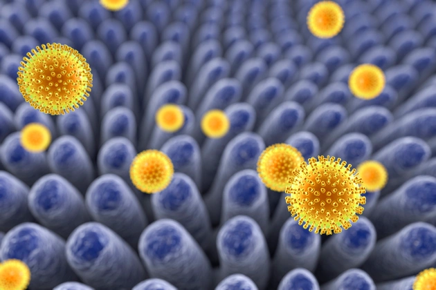 Rota Virusu Nedir Nasil Bulasir Belirtileri Tedavi 8710270