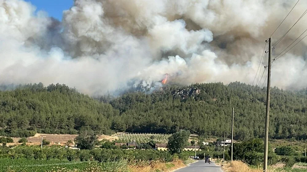 Sakarya Yangın