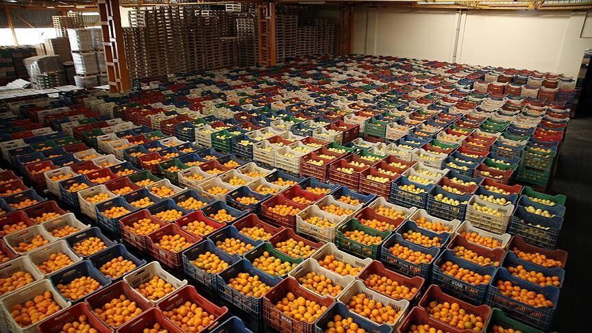 Sebzede Ihracat Bereketi En Çok Kazandıran Ürünler Açıklandı3