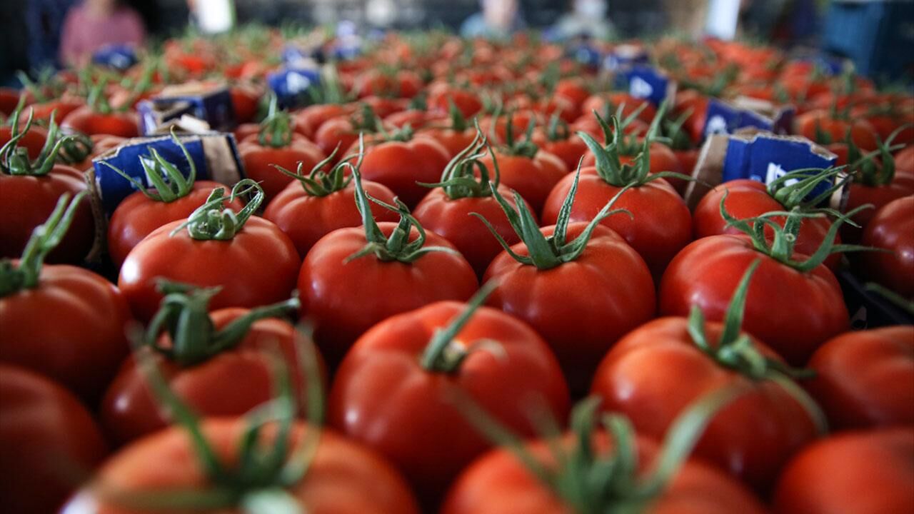 Sebzede Ihracat Bereketi En Çok Kazandıran Ürünler Açıklandı4