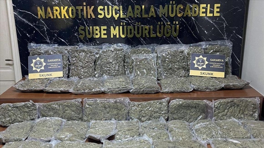 Skunk Maddesi