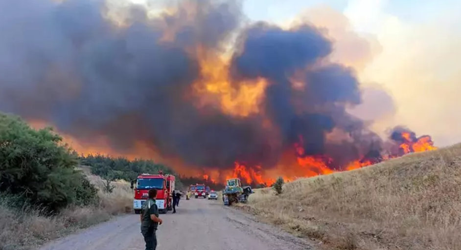 Tekirdağ Yangın 2
