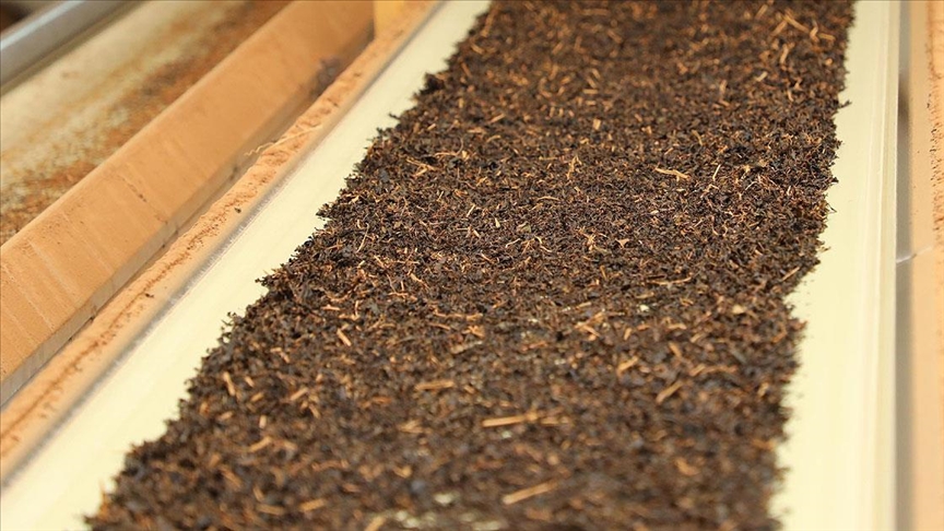 Thumbs B C Fb41Bea1696040A64F94Dfa5B95B85Ab