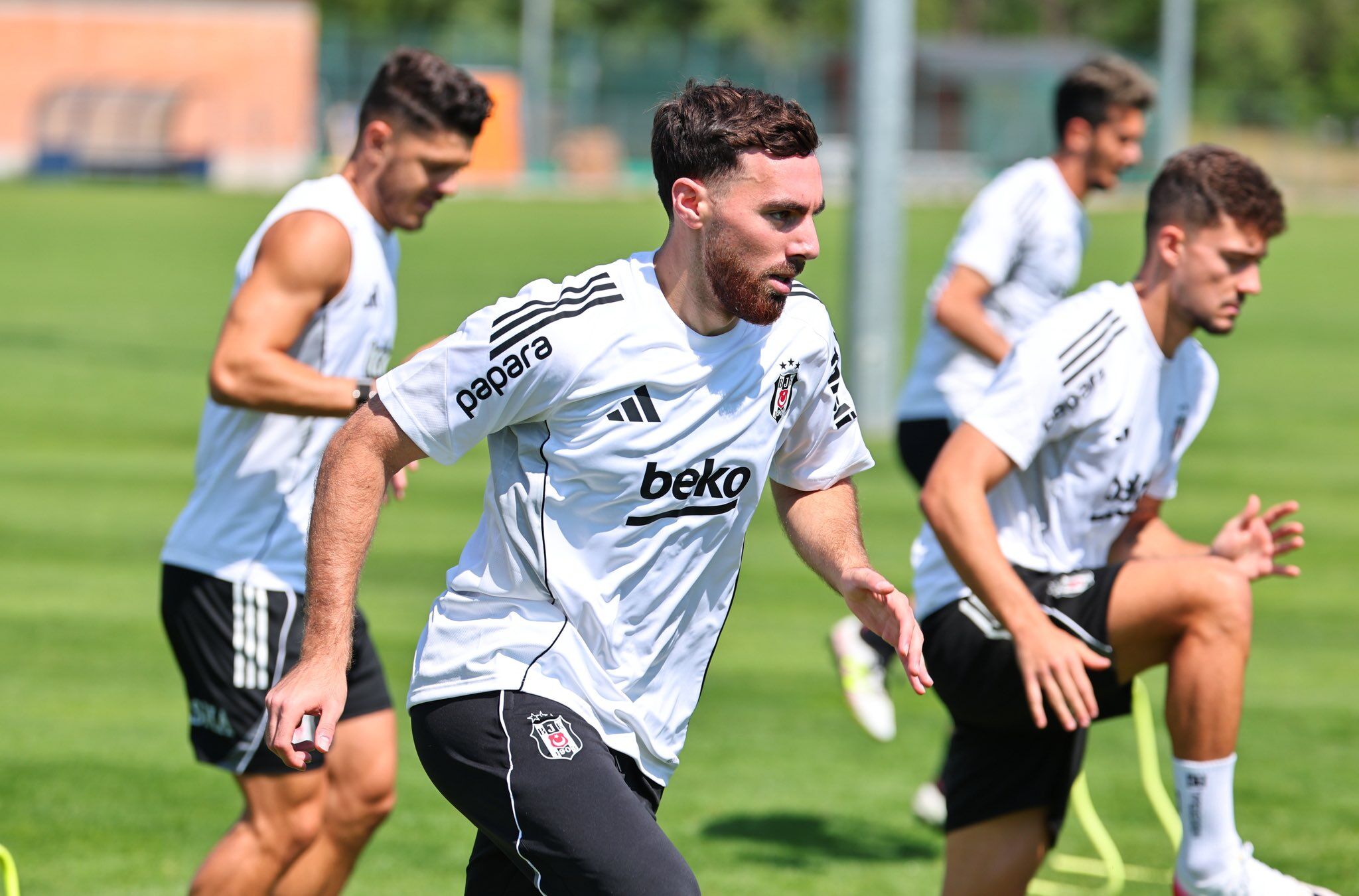 Wolfsberger Ac Beşiktaş Htspor