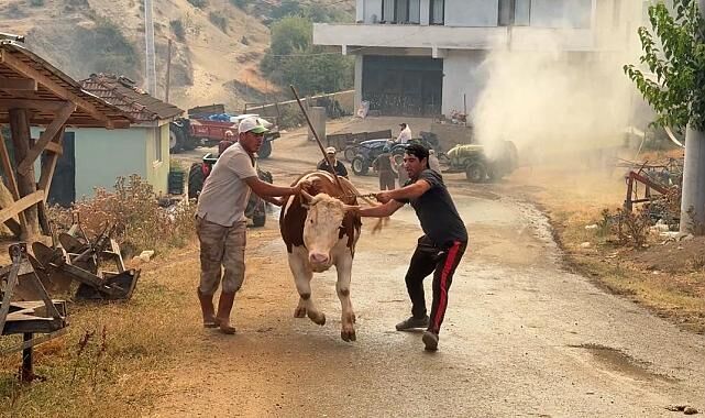Yangın Felaketi 5 Ilde Binlerce Kişi Tahliye Edildi1