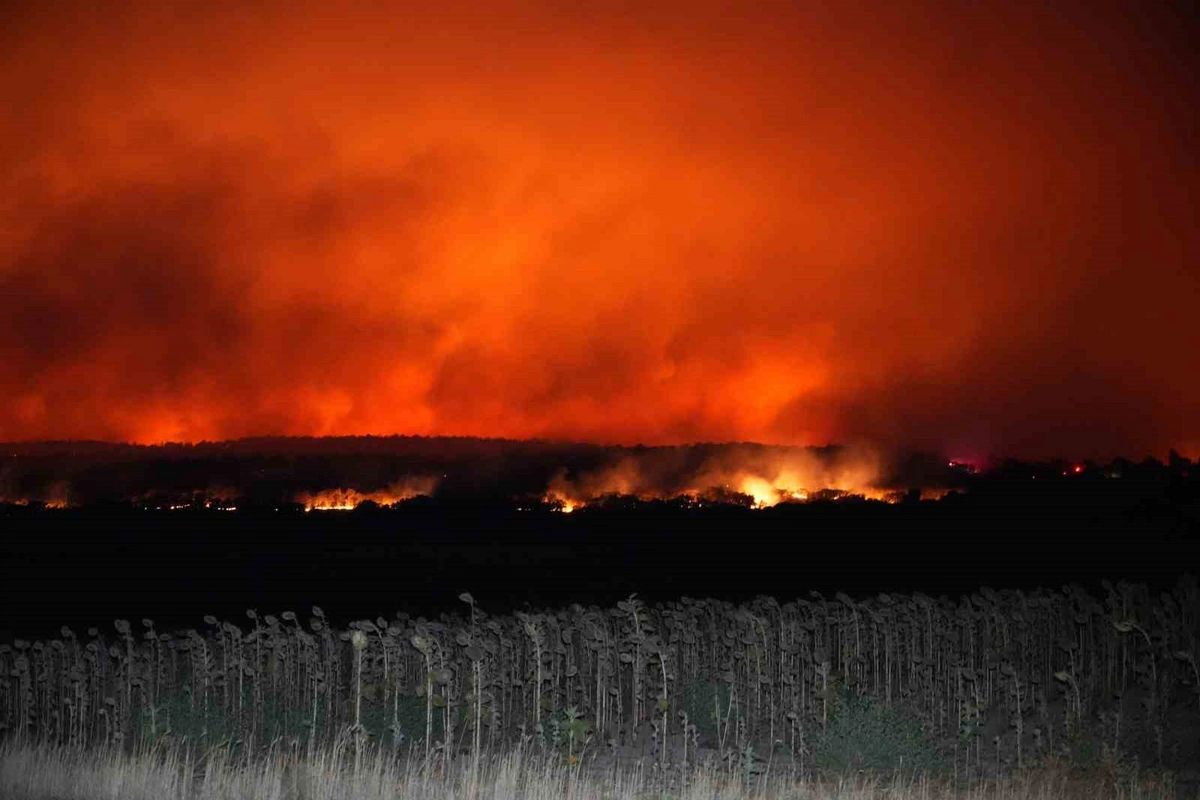 3 Şehirde Yangınla Gece Boyu Mücadele! Son Durum Ne2