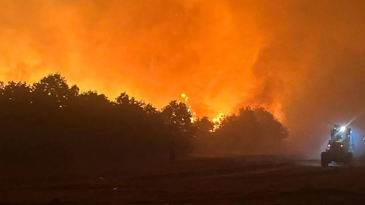 3 Şehirde Yangınla Gece Boyu Mücadele! Son Durum Ne3