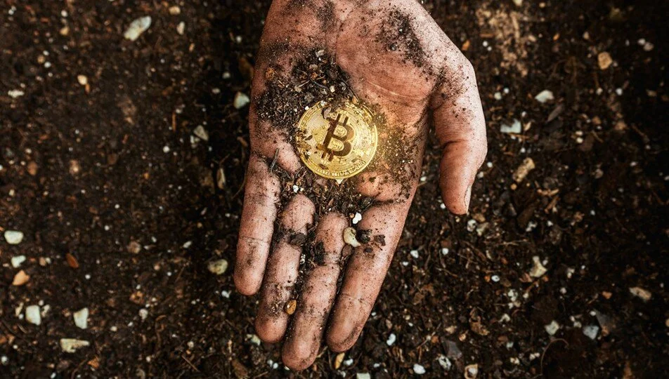 8 Bin Btc Çöp