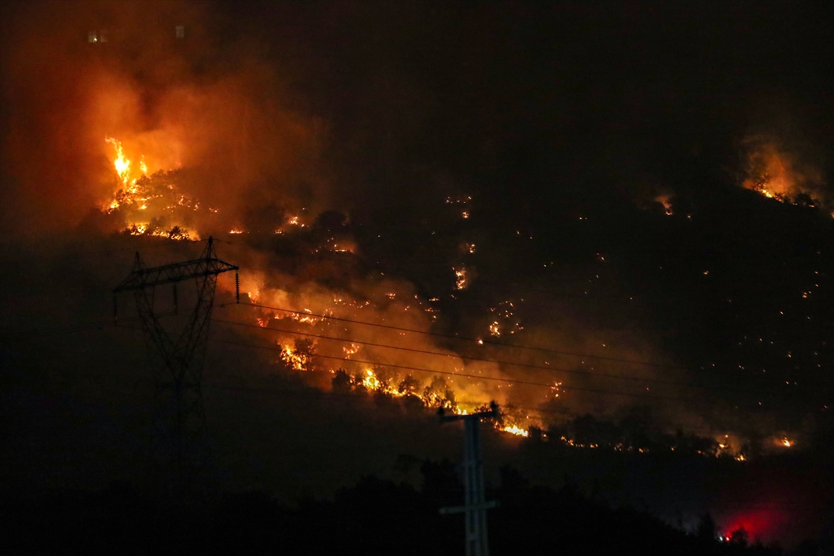 A A 20250815 38842011 38842009 D I Y A R B A K I R I N I K I I L C E S I N D E O R M A N L I K A L A N D A C I K A N Y A N G I N L A R A M U D A H A L E E D I L I Y O R