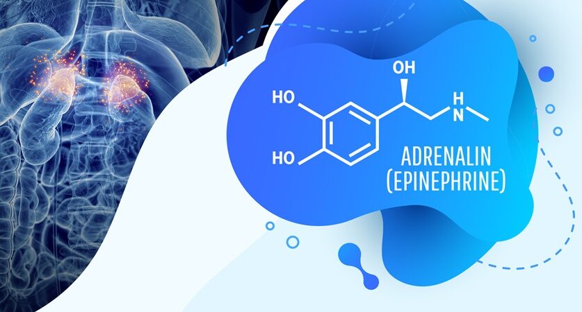 Adrenalin Nedir 4