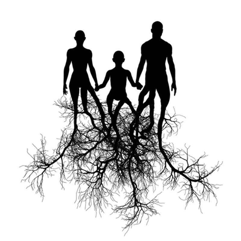 Aile Dizimi Nedir 3