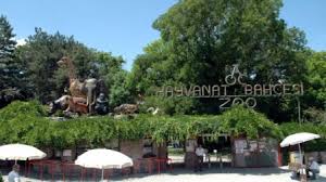 Ankara Hayvanat Bahçesi Eski