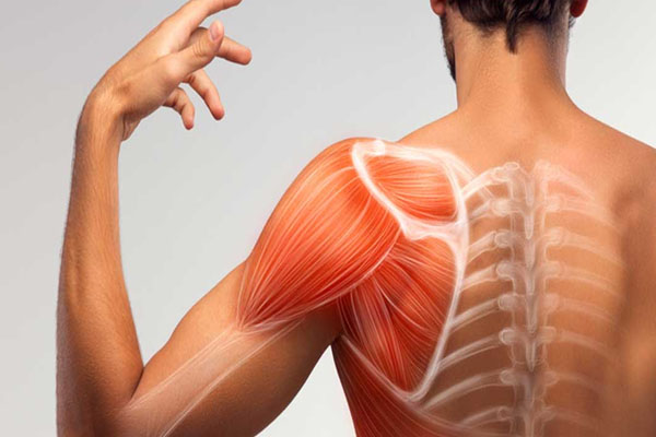 Atrofi Tanısı Nasıl Konulur