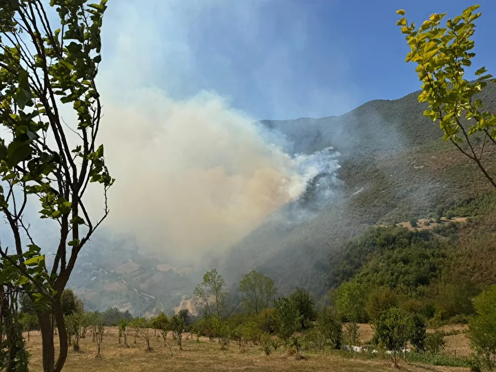 Bartın Yangın