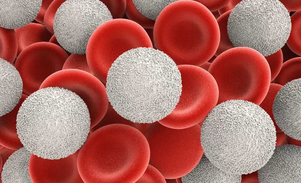 Beyaz Kan Eksikliği