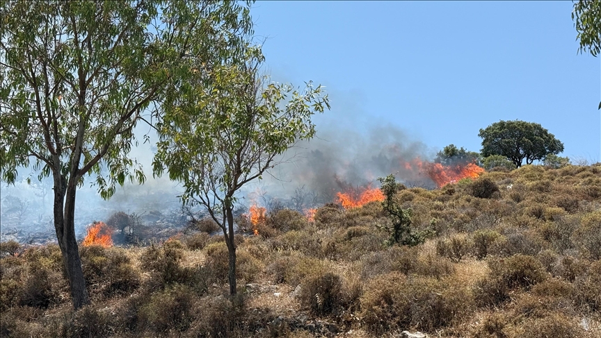 Bu Yıl Doğu Anadolu’da Toplamda 4 Yangın Çıktı1