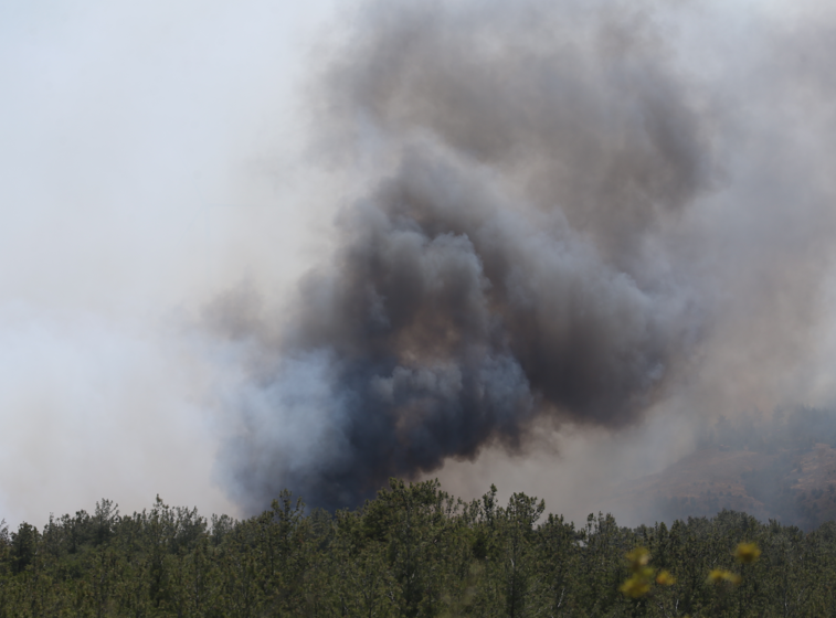 Çanakkale Yangın-4