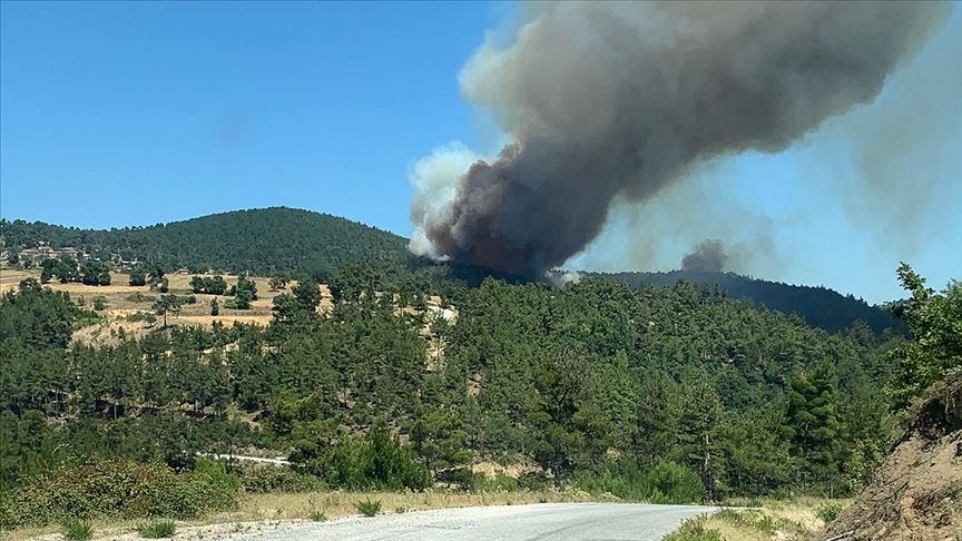 Çanakkale’deki Yangının Çıkış Nedeni Belli 2
