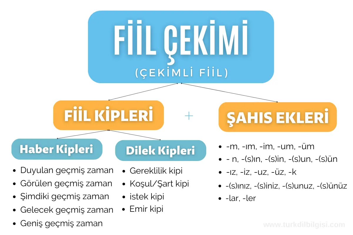 Çekimli Fiil Nedir