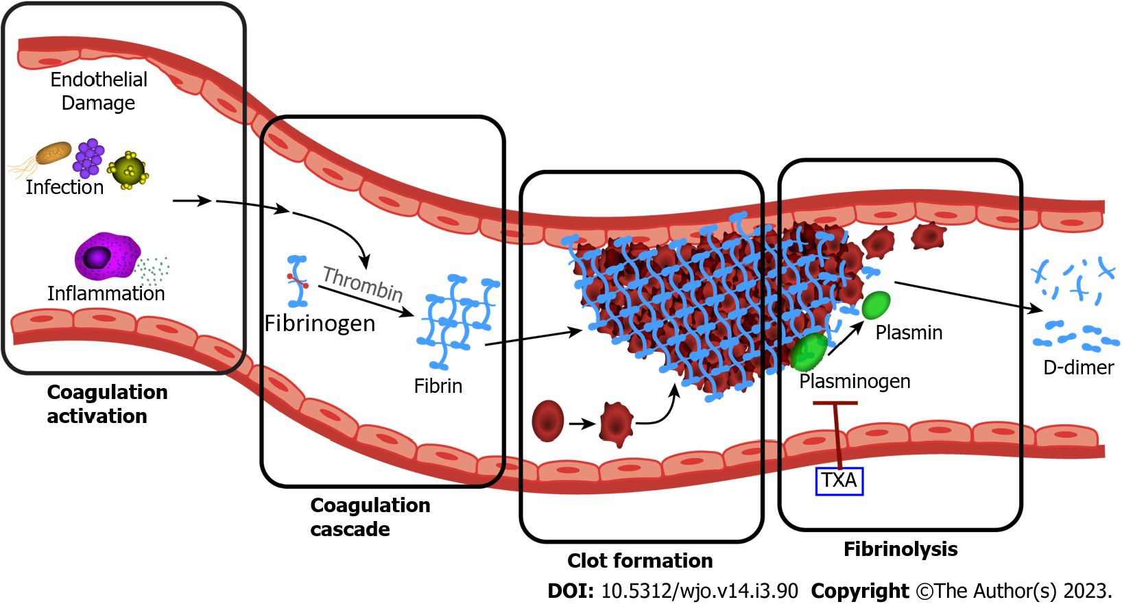 D Dimer Düşüklüğü Nrdir
