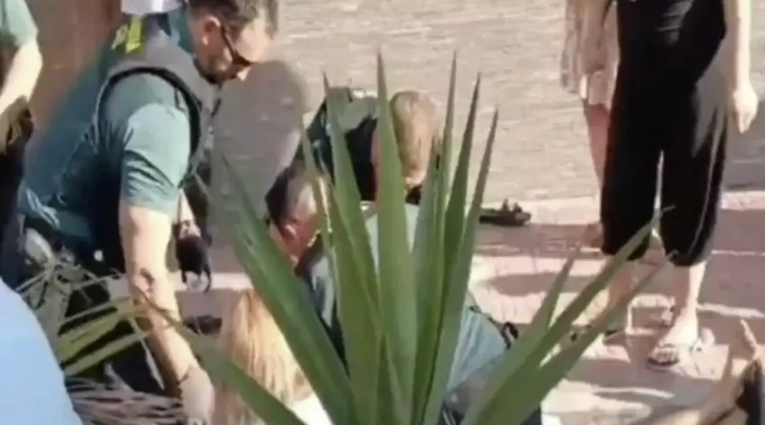 Daltonlar Suç Örgütü