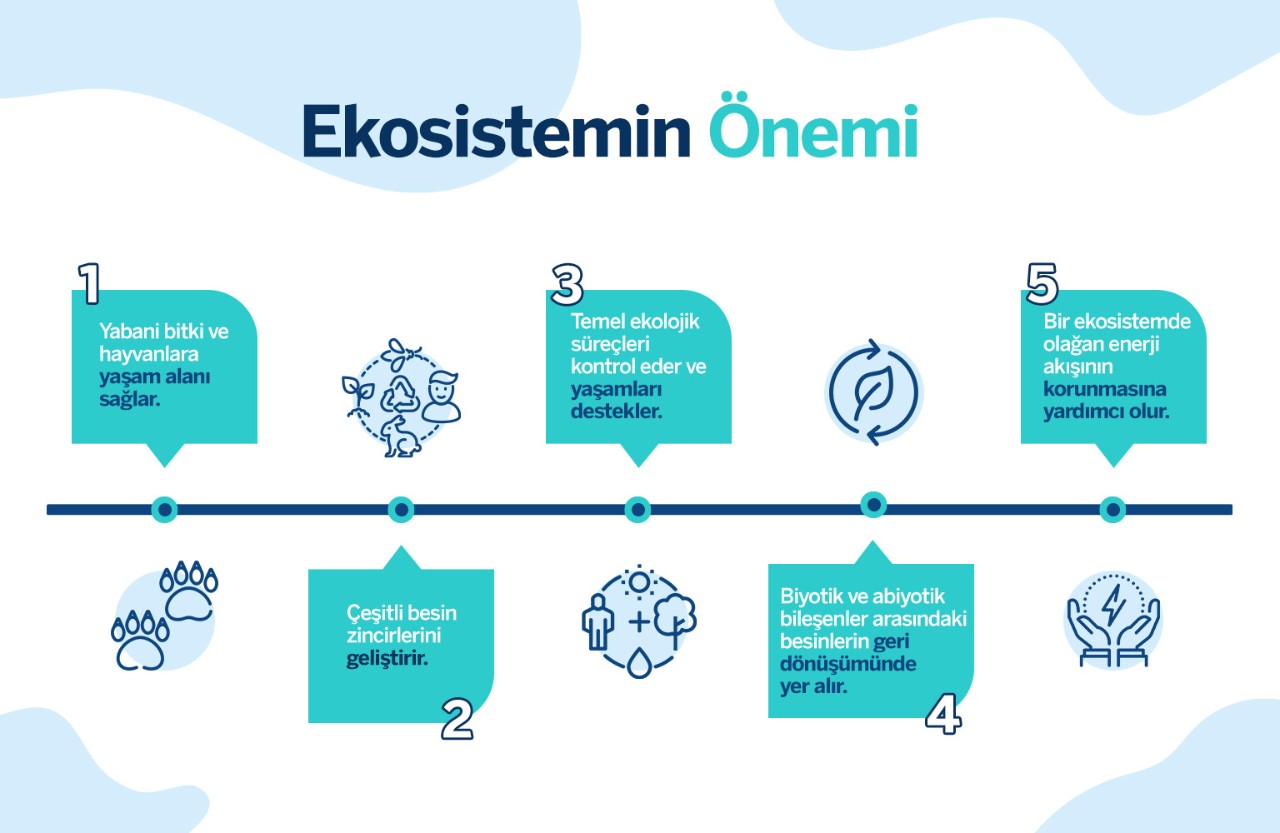 Ekosistem Çeşitleri Nelerdir