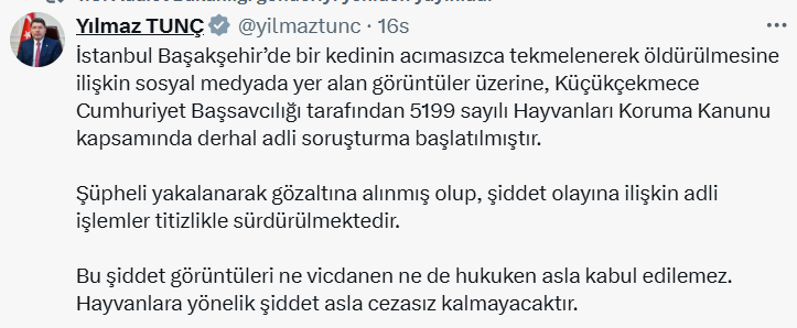 Ekran Görüntüsü 2025 08 02 130049